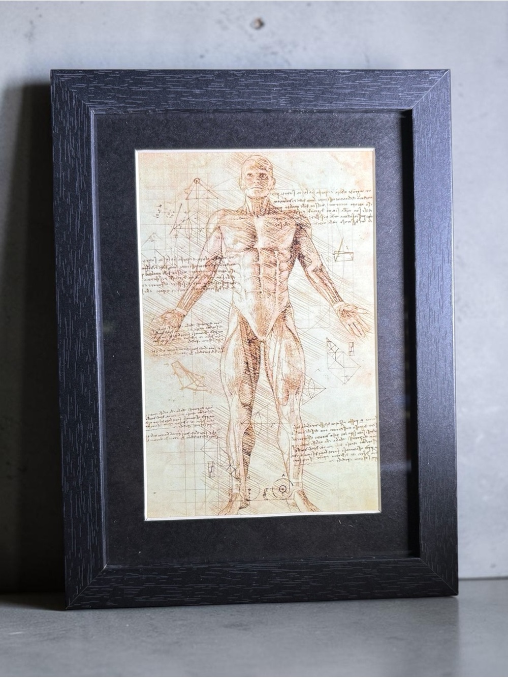 Human Anatomy Framed Art 5x7 Da Vinci Style Medical Science Decor